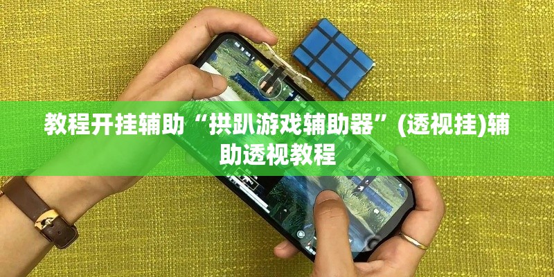 教程开挂辅助“拱趴游戏辅助器	”(透视挂)辅助透视教程
