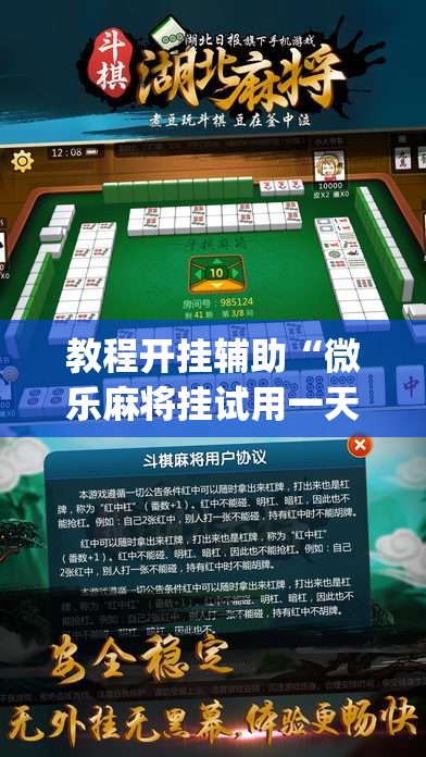 教程开挂辅助“微乐麻将挂试用一天”(透视挂)辅助透视教程