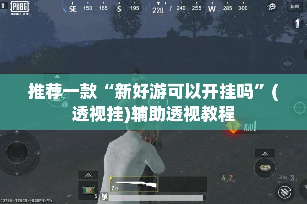 推荐一款“新好游可以开挂吗”(透视挂)辅助透视教程