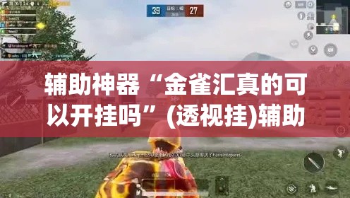 辅助神器“金雀汇真的可以开挂吗”(透视挂)辅助透视教程