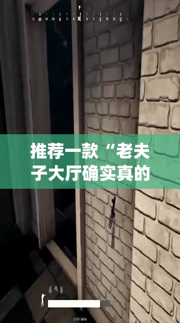 推荐一款“老夫子大厅确实真的有挂	”(透视挂)辅助透视教程