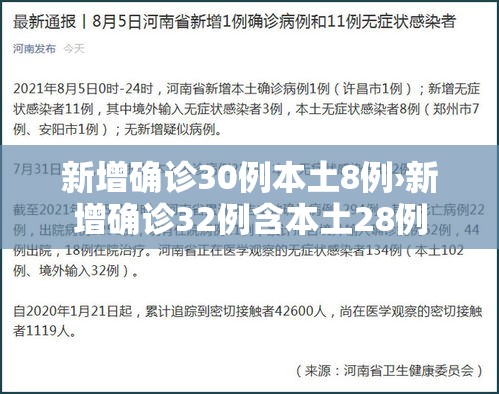 新增确诊30例本土8例›新增确诊32例含本土28例