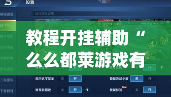 教程开挂辅助“么么都莱游戏有没有挂	”(透视挂)辅助透视教程
