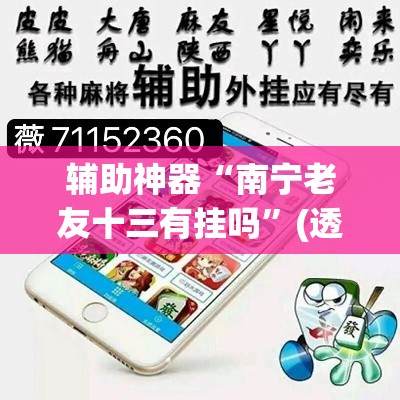 辅助神器“南宁老友十三有挂吗	”(透视挂)辅助透视教程