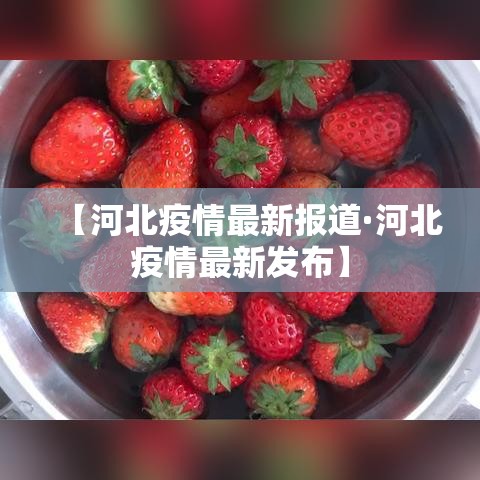 【河北疫情最新报道·河北疫情最新发布】 【河北疫情最新报道·河北疫情最新发布】