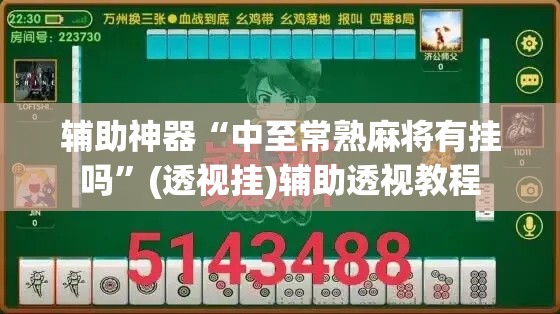 辅助神器“中至常熟麻将有挂吗”(透视挂)辅助透视教程