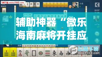 辅助神器“微乐海南麻将开挂应用”(透视挂)辅助透视教程