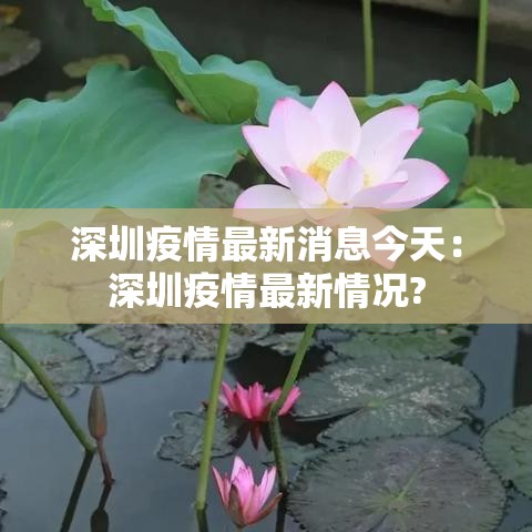 深圳疫情最新消息今天:深圳疫情最新情况? 深圳疫情最新消息今天:深圳疫情最新情况?