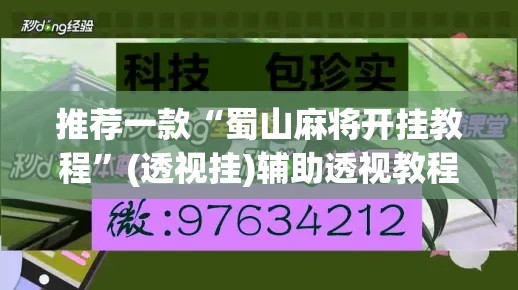 推荐一款“蜀山麻将开挂教程”(透视挂)辅助透视教程