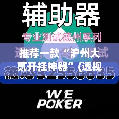 推荐一款“沪州大贰开挂神器”(透视挂)辅助透视教程