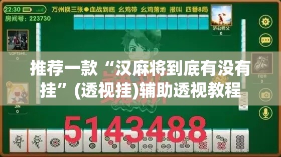 推荐一款“汉麻将到底有没有挂”(透视挂)辅助透视教程