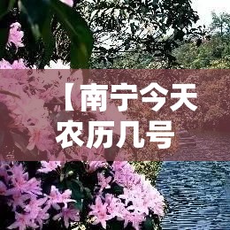 【南宁今天农历几号限行·南宁今天农历几号限行的】