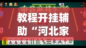 教程开挂辅助“河北家乡麻将一直输”(透视挂)辅助透视教程