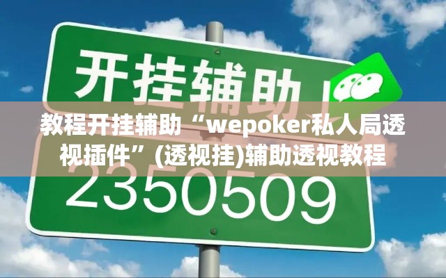 教程开挂辅助“wepoker私人局透视插件”(透视挂)辅助透视教程