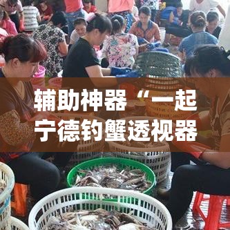 辅助神器“一起宁德钓蟹透视器	”(透视挂)辅助透视教程