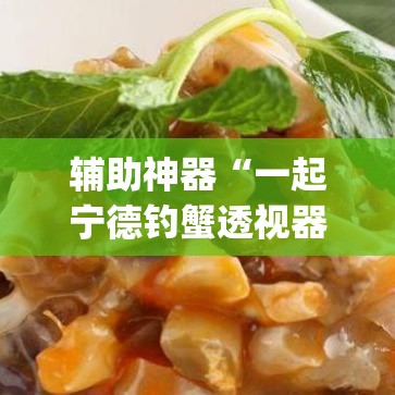 辅助神器“一起宁德钓蟹透视器”(透视挂)辅助透视教程