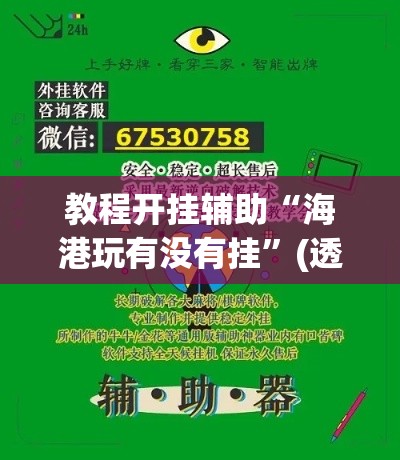 教程开挂辅助“海港玩有没有挂”(透视挂)辅助透视教程