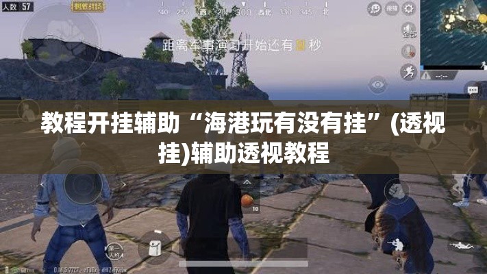 教程开挂辅助“海港玩有没有挂”(透视挂)辅助透视教程