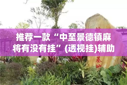 推荐一款“中至景德镇麻将有没有挂”(透视挂)辅助透视教程