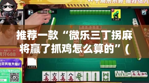 推荐一款“微乐三丁拐麻将赢了抓鸡怎么算的”(透视挂)辅助透视教程