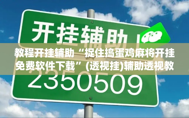 教程开挂辅助“捉住捣蛋鸡麻将开挂免费软件下载”(透视挂)辅助透视教程