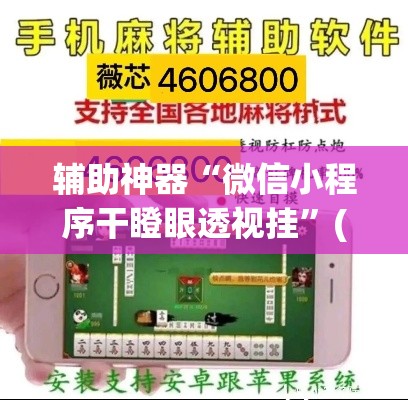 辅助神器“微信小程序干瞪眼透视挂”(透视挂)辅助透视教程