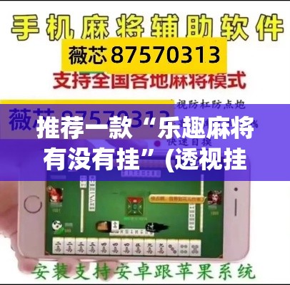 推荐一款“乐趣麻将有没有挂”(透视挂)辅助透视教程