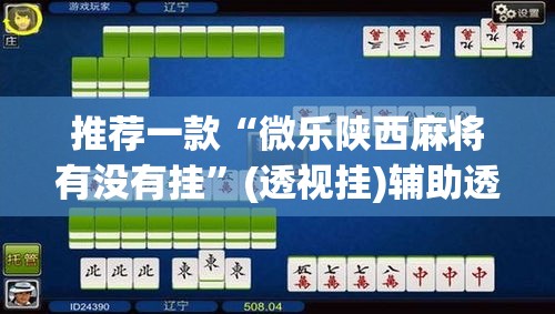 推荐一款“微乐陕西麻将有没有挂”(透视挂)辅助透视教程