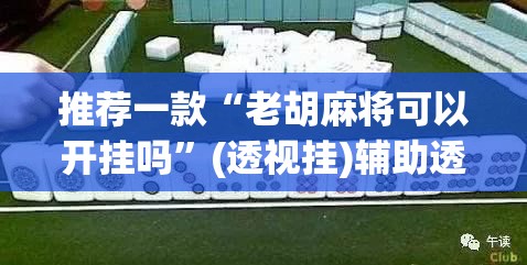推荐一款“老胡麻将可以开挂吗	”(透视挂)辅助透视教程