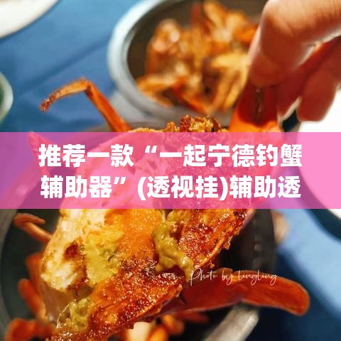 推荐一款“一起宁德钓蟹辅助器”(透视挂)辅助透视教程