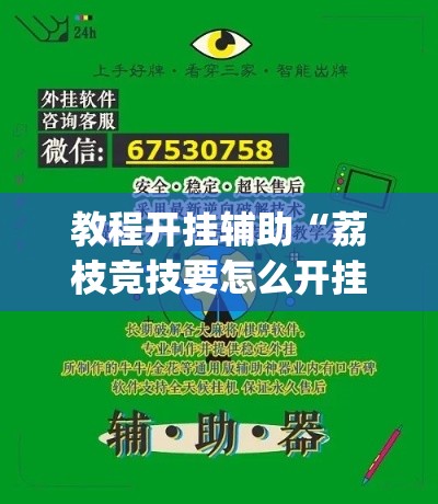 教程开挂辅助“荔枝竞技要怎么开挂”(透视挂)辅助透视教程