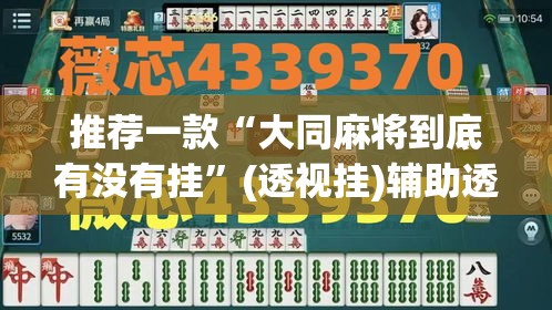 推荐一款“大同麻将到底有没有挂”(透视挂)辅助透视教程