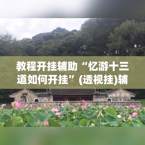 教程开挂辅助“忆游十三道如何开挂”(透视挂)辅助透视教程