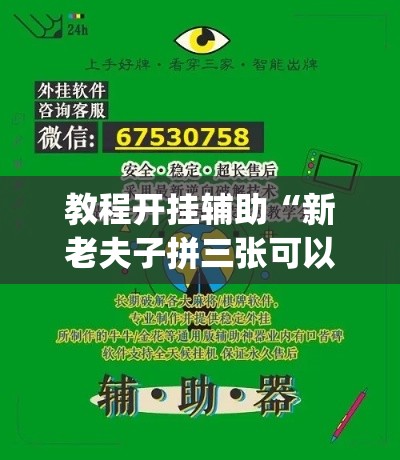 教程开挂辅助“新老夫子拼三张可以开挂吗”(透视挂)辅助透视教程