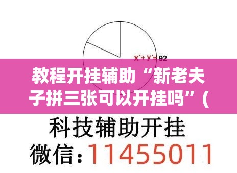 教程开挂辅助“新老夫子拼三张可以开挂吗”(透视挂)辅助透视教程
