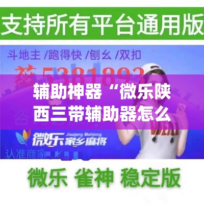 辅助神器“微乐陕西三带辅助器怎么安装	”(透视挂)辅助透视教程