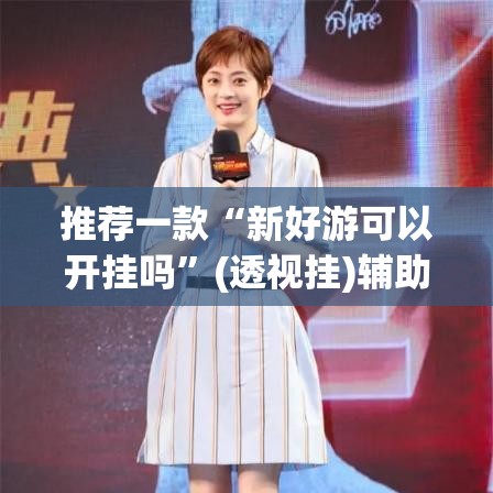 推荐一款“新好游可以开挂吗”(透视挂)辅助透视教程