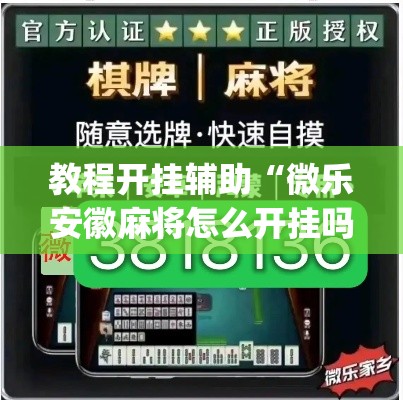 教程开挂辅助“微乐安徽麻将怎么开挂吗”(透视挂)辅助透视教程