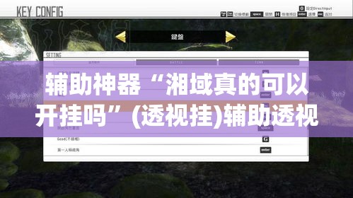 辅助神器“湘域真的可以开挂吗”(透视挂)辅助透视教程