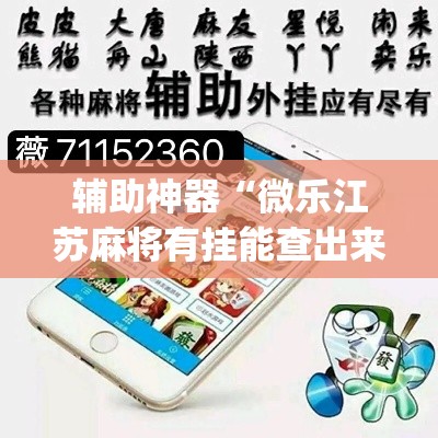 辅助神器“微乐江苏麻将有挂能查出来吗”(透视挂)辅助透视教程