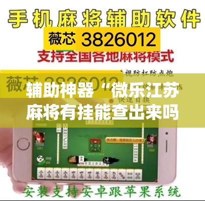 辅助神器“微乐江苏麻将有挂能查出来吗”(透视挂)辅助透视教程