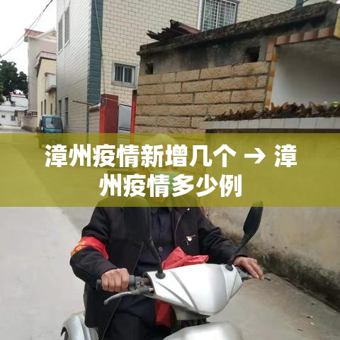 漳州疫情新增几个 → 漳州疫情多少例 漳州疫情新增几个 → 漳州疫情多少例