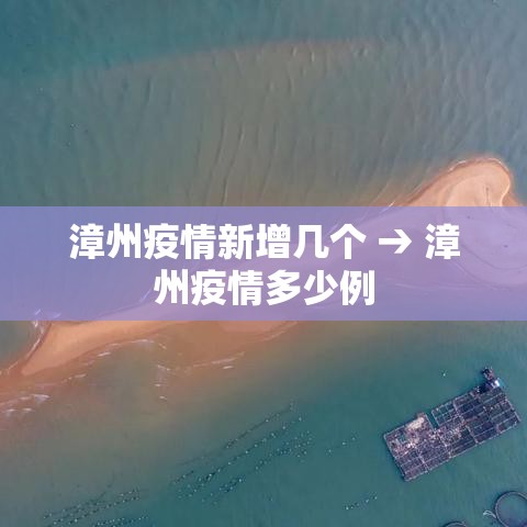 漳州疫情新增几个 → 漳州疫情多少例 漳州疫情新增几个 → 漳州疫情多少例