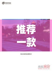 推荐一款“阳光巴厘岛可以开挂吗”(透视挂)辅助透视教程