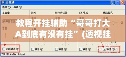教程开挂辅助“哥哥打大A到底有没有挂”(透视挂)辅助透视教程