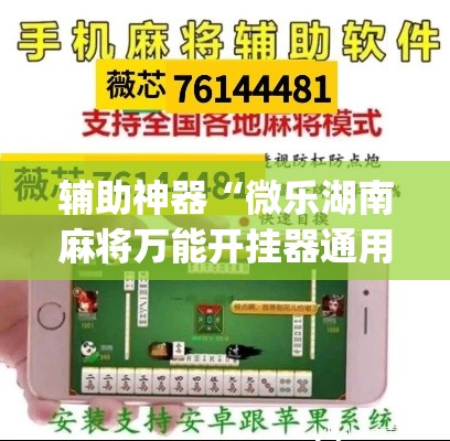 辅助神器“微乐湖南麻将万能开挂器通用版”(透视挂)辅助透视教程