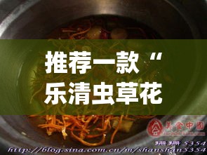 推荐一款“乐清虫草花有没有挂”(透视挂)辅助透视教程