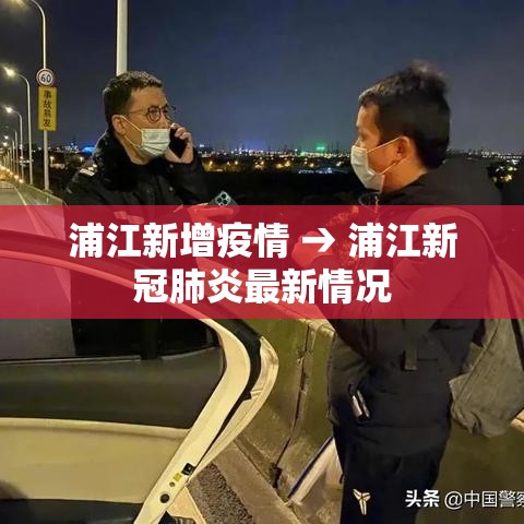 浦江新增疫情 → 浦江新冠肺炎最新情况 浦江新增疫情 → 浦江新冠肺炎最新情况