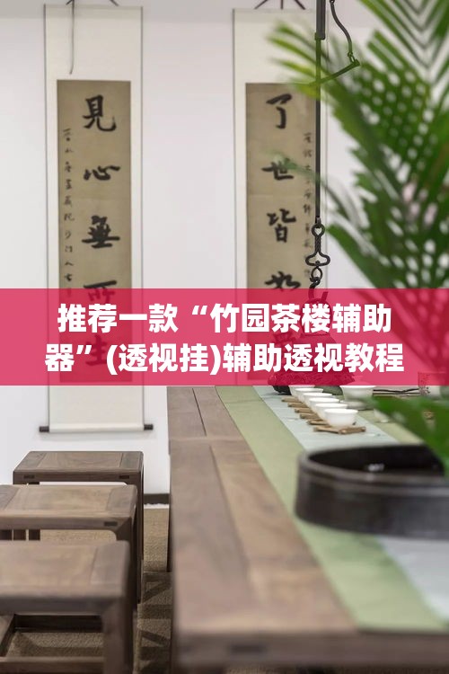 推荐一款“竹园茶楼辅助器”(透视挂)辅助透视教程