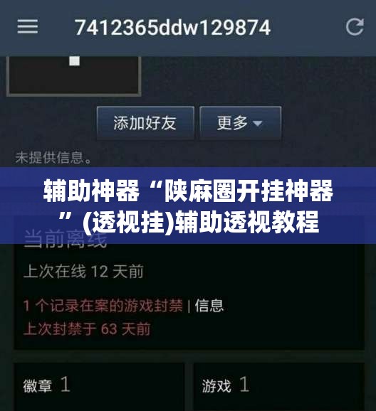 辅助神器“陕麻圈开挂神器”(透视挂)辅助透视教程